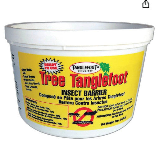 Tanglefoot 425G
