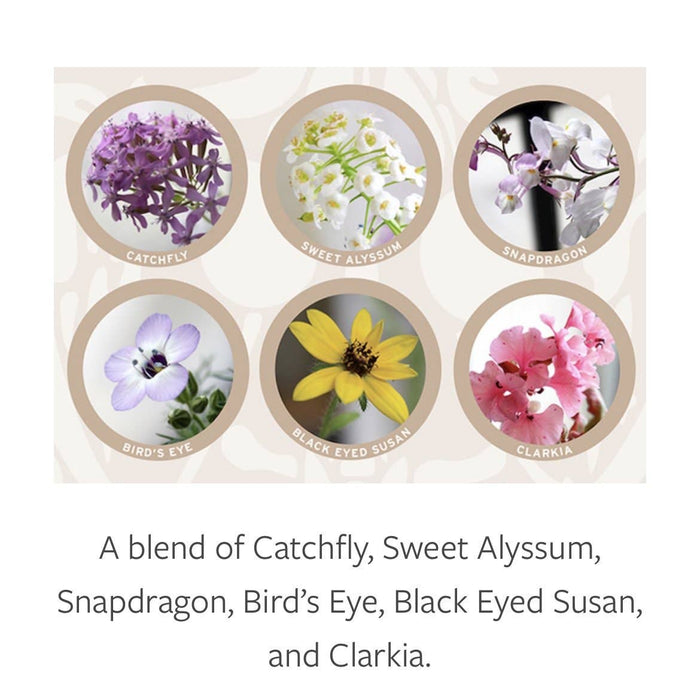 We're Rooting for You Plantable Greeting Card