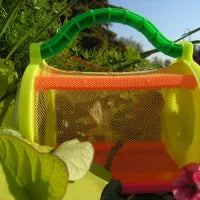 praying Mantis w/ hatching Chamber