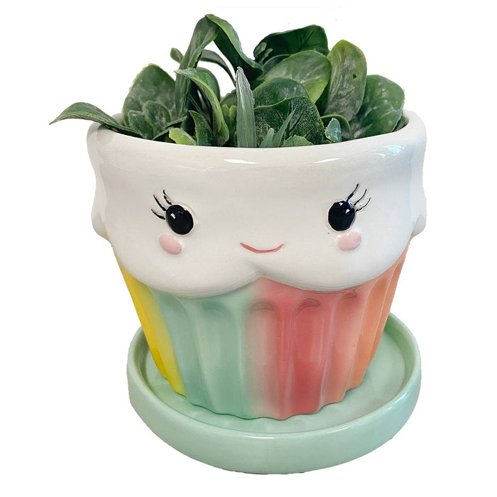 Cupcake Mini Pot
