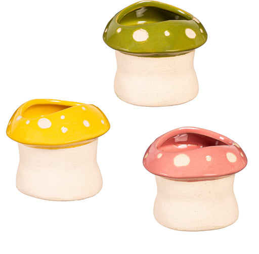 Pot Mushroom Cer. Planter