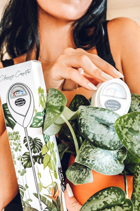 Moisture Meter White