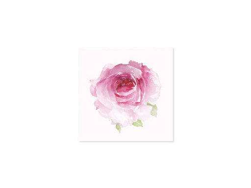 Pink Roses Everyday Greeting Card