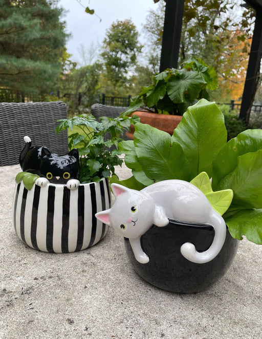 Playful Kitty Planter