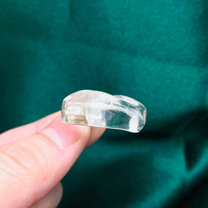 Dandelions Dried Plant Heart-shaped Charm Necklace - PDF