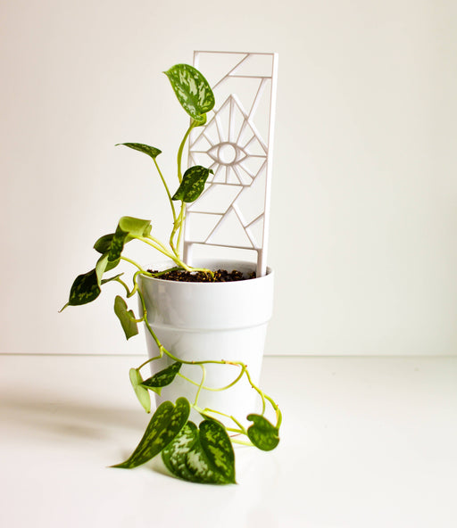 Evil Eye Houseplant Trellis