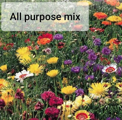 Wildflower - Seed Packet