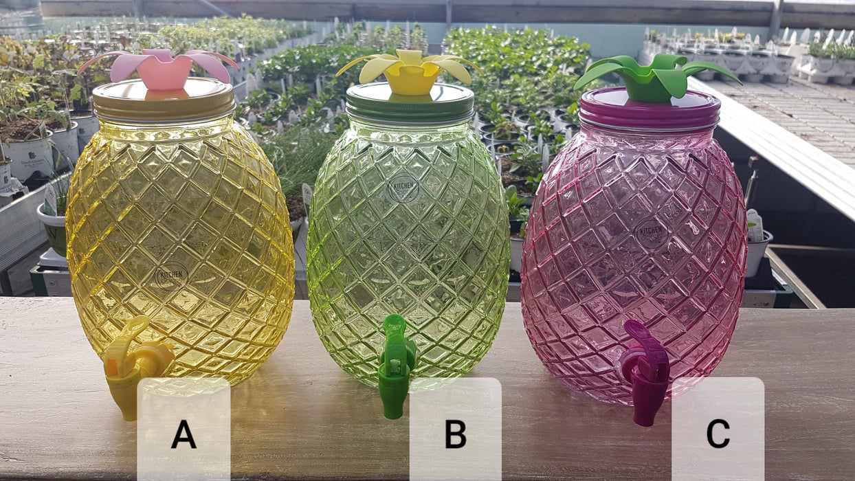 Pineapple Beverage Dispenser