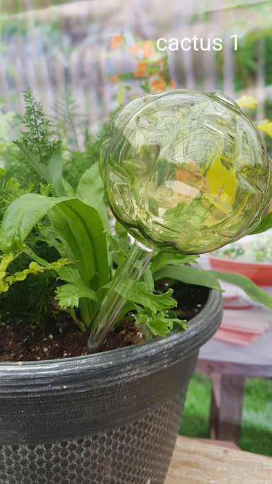 Cactus watering globe
