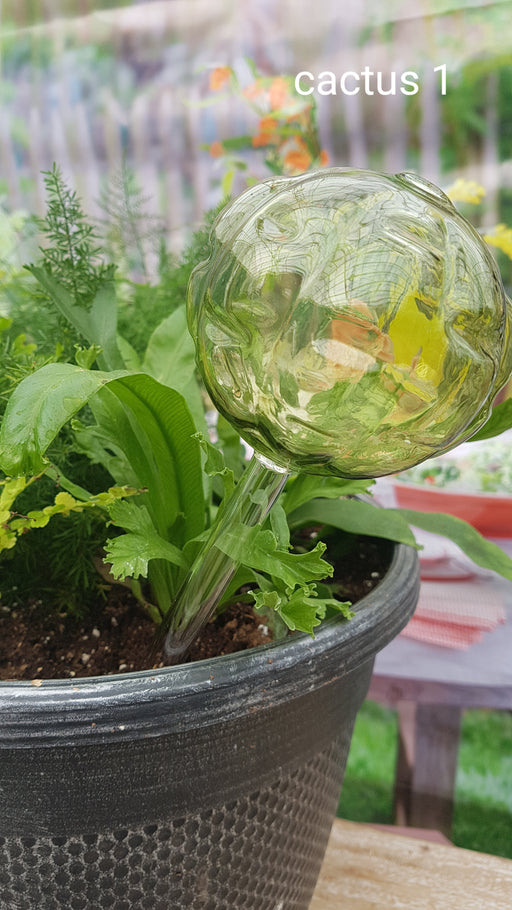 Cactus watering globe