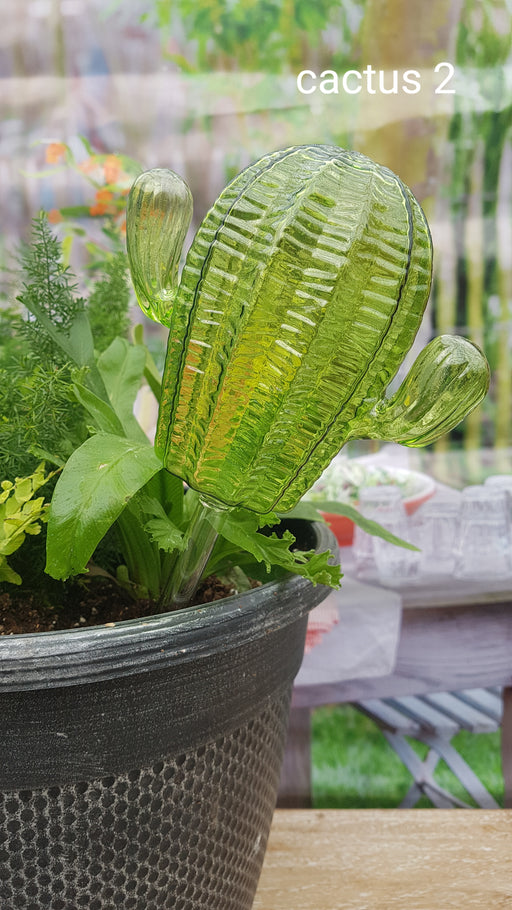 Cactus watering globe