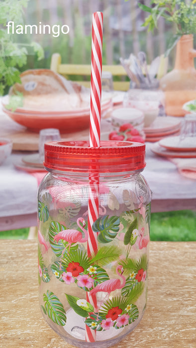 Drinking Jars with straw