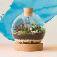 Terrarium Decor Mini Mushrooms