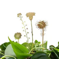 Brass Blooms Plant Decor
