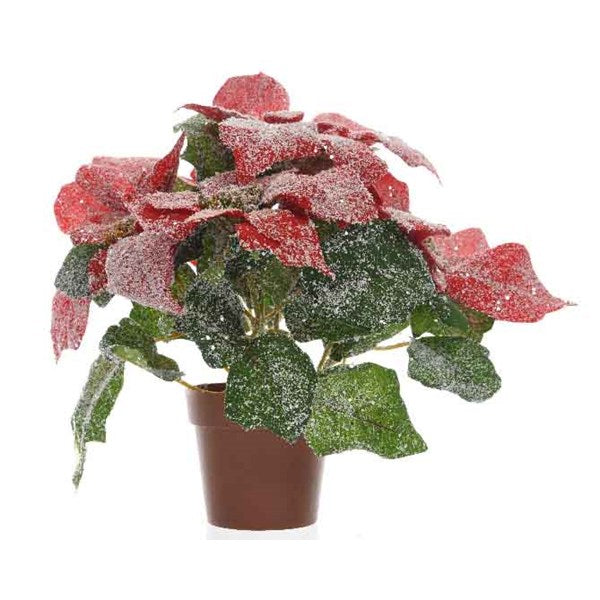 Planter - Silk Poinsettia - Red