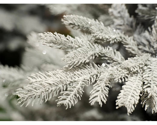 Grandis Fir Artificial Christmas Tree- Artificial