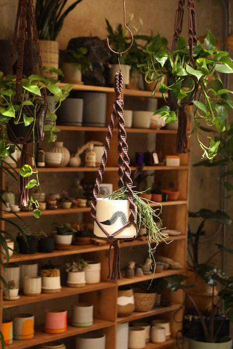 DNA Plant Hanger