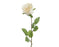 Silk Flower -Cream Rose Stem