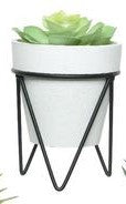 Succulent in pot with black metal stand
