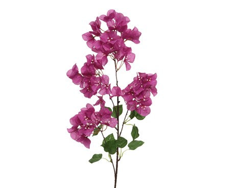 Bouganvillea Stems -Artifical