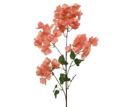 Bouganvillea Stems -Artifical