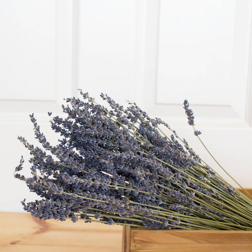 French Lavender Bundle