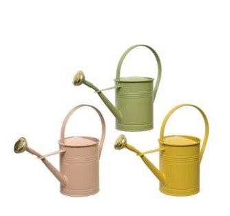 Watering Can - Iron Assorted