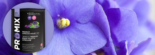 ProMix African Violet Mix