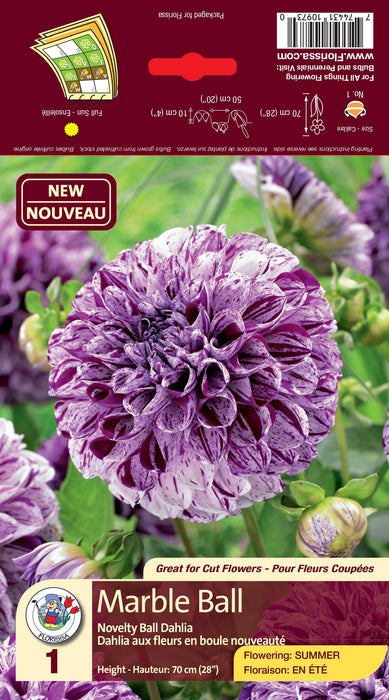 Dahlia - Marble Ball