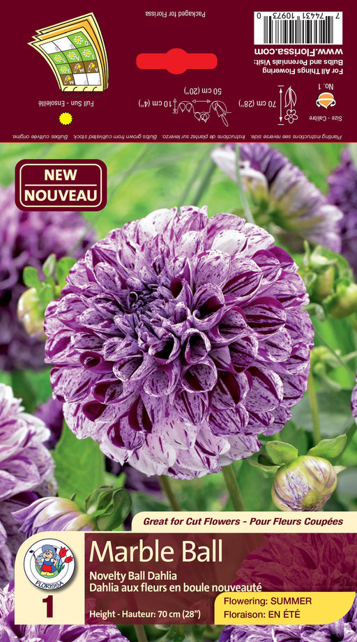 Dahlia - Marble Ball