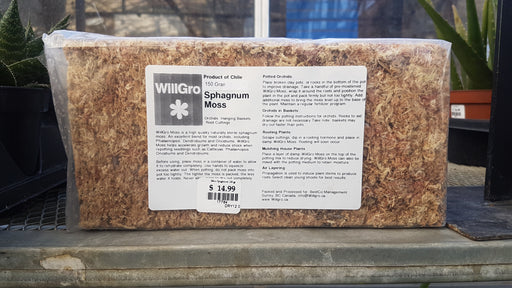 Sphagnum Moss 150 gram - WillGro