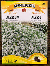 Seed packets - Alyssum