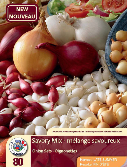 Onion - Mixed 80 Pack