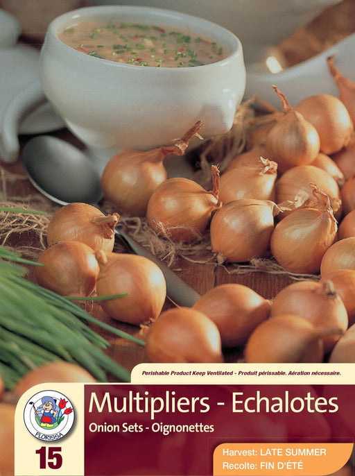 Onion - Multipliers 15 Pack
