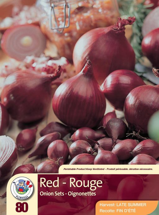 Onion - Red 80 Pack