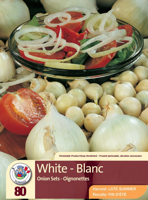 Onion - White 80 Pack