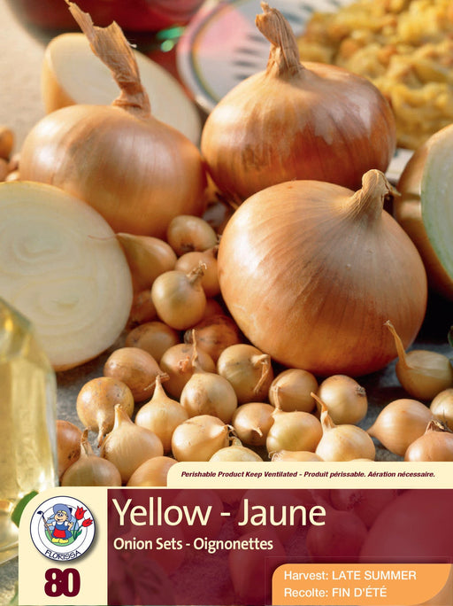 Onion - Yellow 80 Pack