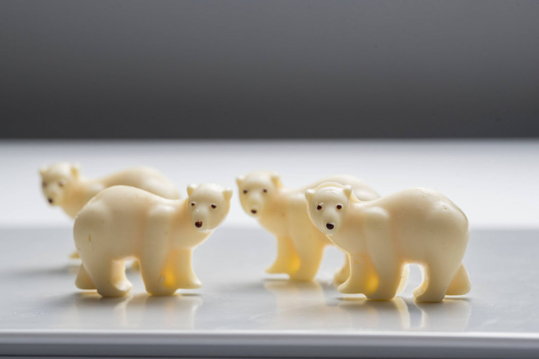 Polar White Chocolate Bears of Churchill