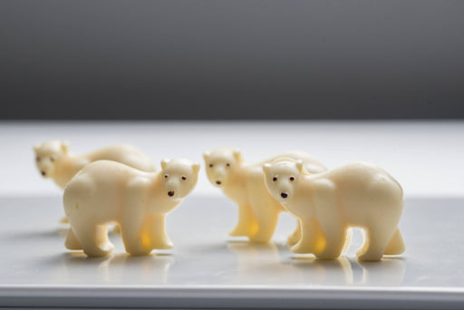 Polar White Chocolate Bears of Churchill