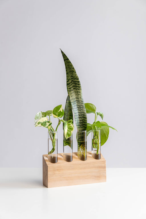 Plant Vitamins Propagation Stand