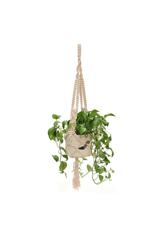 XX Plant Hanger