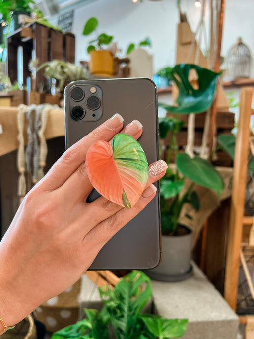 Rare Houseplant Phone Grip Variegated Homalomena | Cellphone Accessory