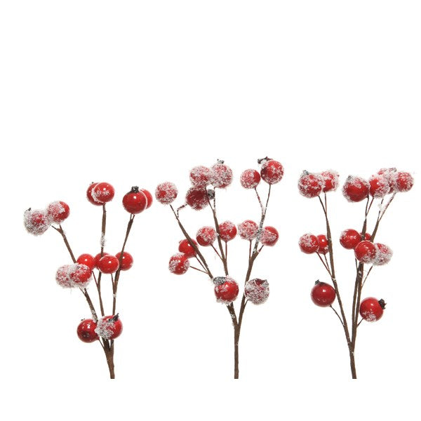 Spray - Berries