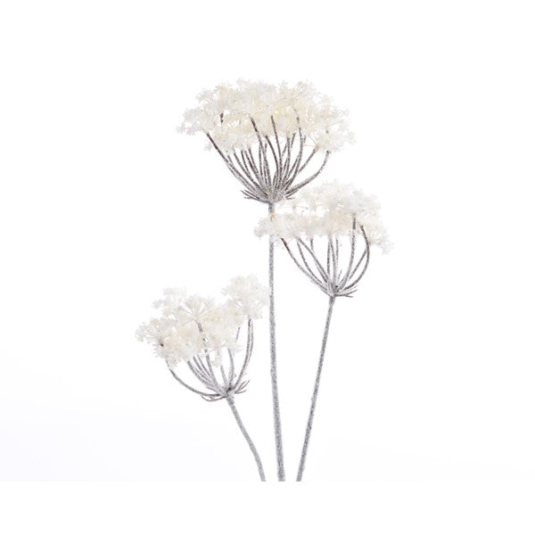 Spray - Hogweed - White