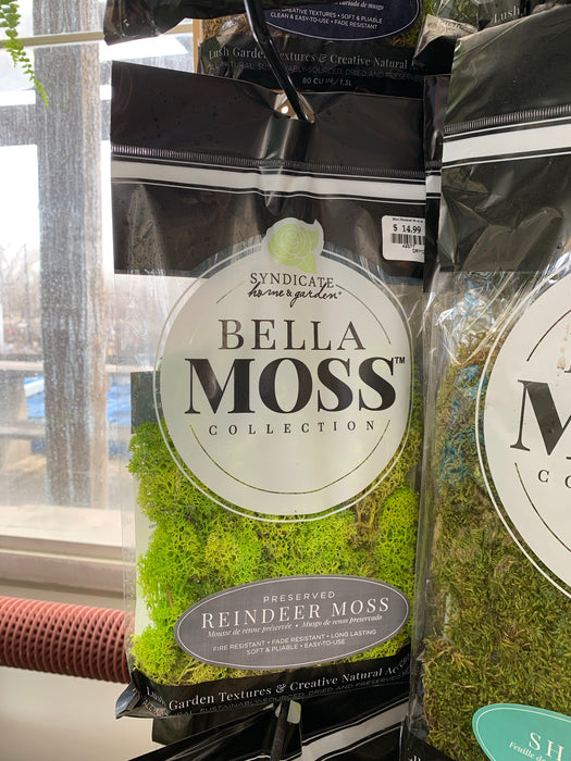 Moss - Bagged