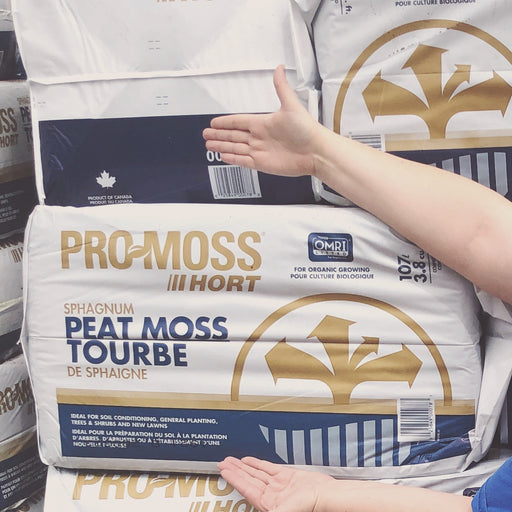 Peat Moss