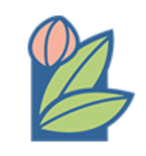 Dill Herb 4” pot Size