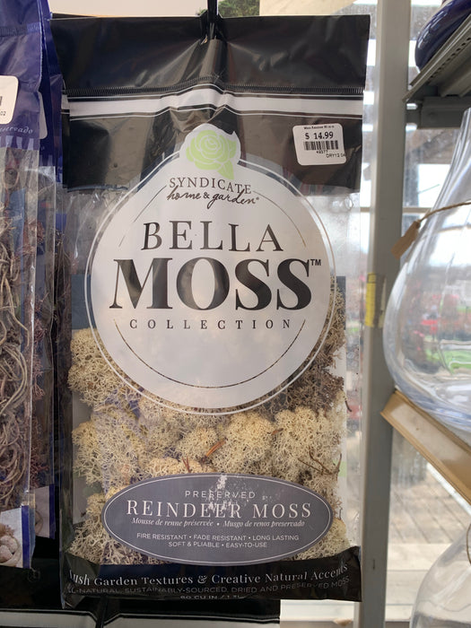 Moss - Bagged