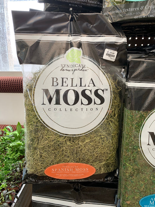 Moss - Bagged