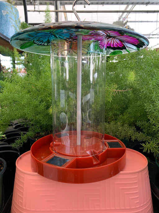 Bird Feeder - Solar - Butterfly Design